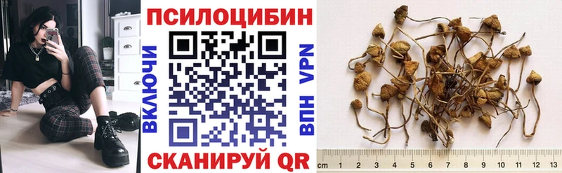 Галлюциногенные грибы мухоморы  Губкин 